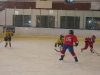 SL274277.JPG