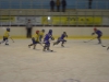 DSC00533.JPG